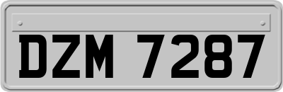 DZM7287