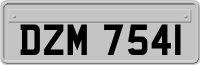 DZM7541