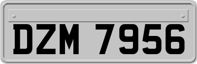 DZM7956