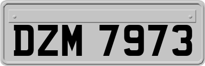 DZM7973