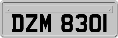 DZM8301