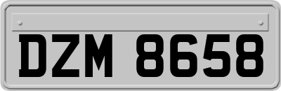 DZM8658