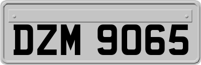 DZM9065