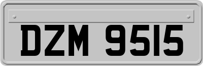 DZM9515