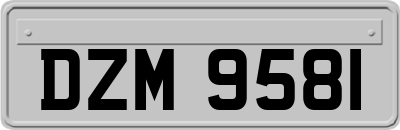 DZM9581