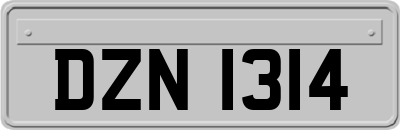 DZN1314