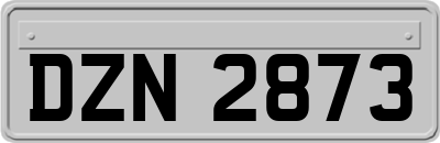 DZN2873