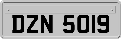DZN5019
