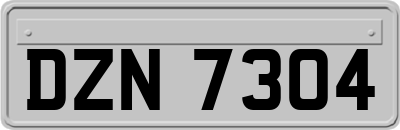DZN7304