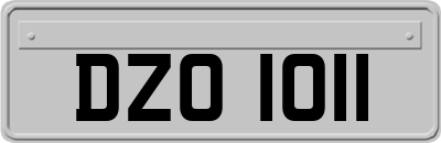 DZO1011