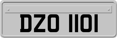 DZO1101