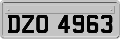 DZO4963
