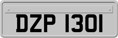 DZP1301