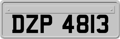 DZP4813