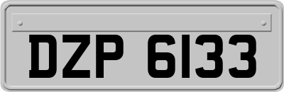 DZP6133
