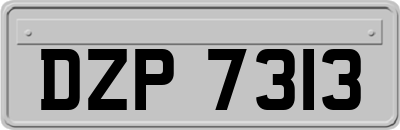 DZP7313