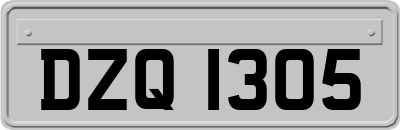 DZQ1305