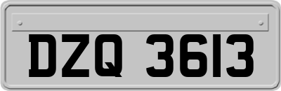 DZQ3613
