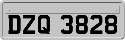 DZQ3828