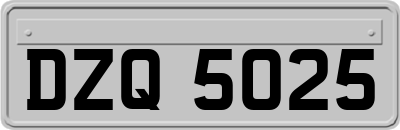 DZQ5025