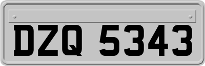 DZQ5343
