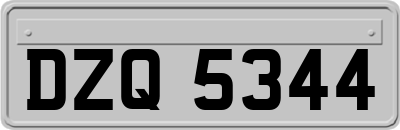 DZQ5344