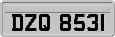 DZQ8531