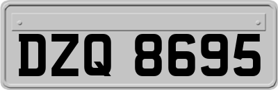 DZQ8695