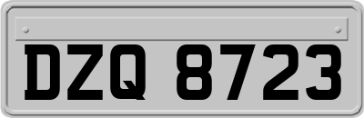 DZQ8723