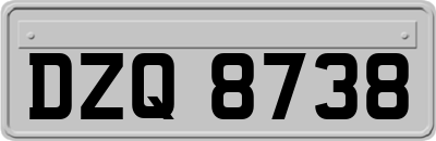 DZQ8738