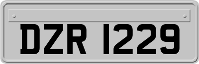DZR1229