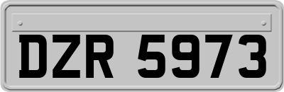 DZR5973