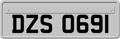 DZS0691