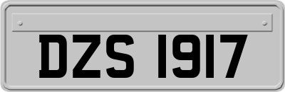 DZS1917