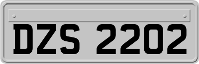 DZS2202