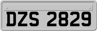 DZS2829