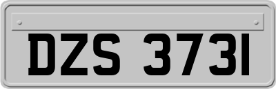 DZS3731