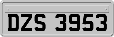 DZS3953