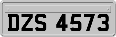 DZS4573
