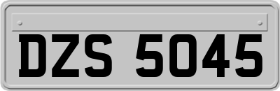 DZS5045