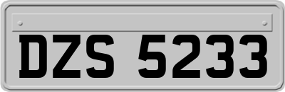 DZS5233