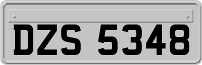 DZS5348
