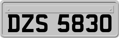 DZS5830