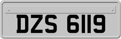 DZS6119