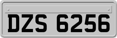 DZS6256