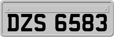 DZS6583