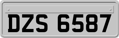 DZS6587