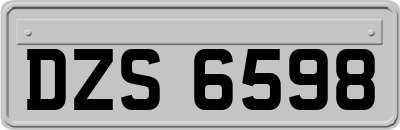DZS6598