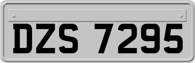 DZS7295