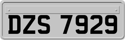 DZS7929